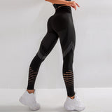 Breathable Ombre Colour Fitness Leggings