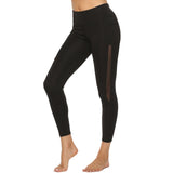 Mesh Pattern Fitness Leggings