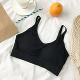 Seamless Quick Dry Sports Bra