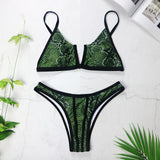 Sexy V Neck Bikini Set